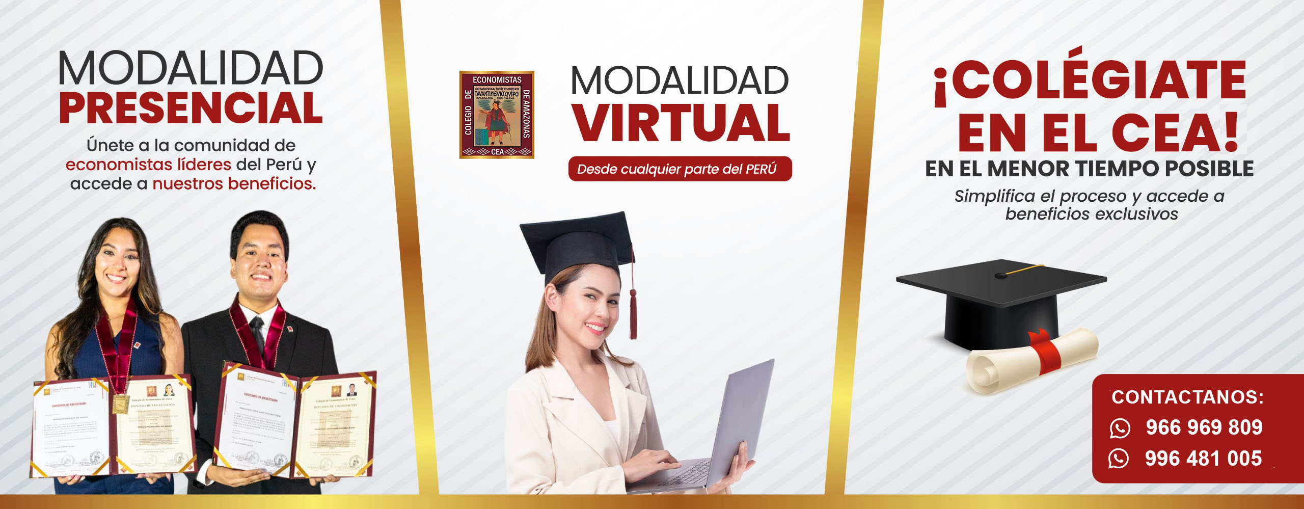 colegiate